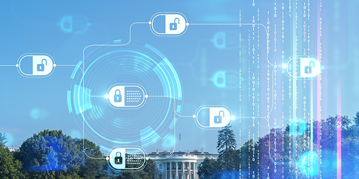 Data formatting for Government